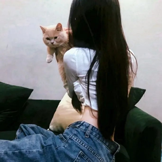禁忌密室 在线观看